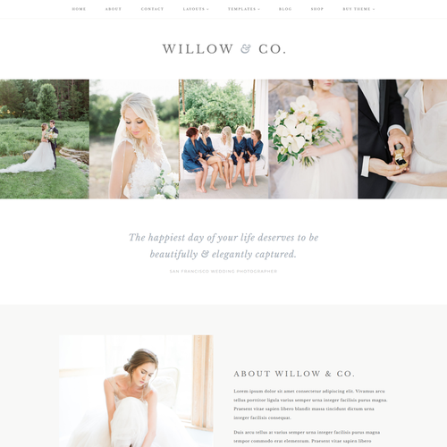 Willow Theme